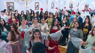 Tarek Shexani I Mala Rashmani I New I 4K I By Vin Media