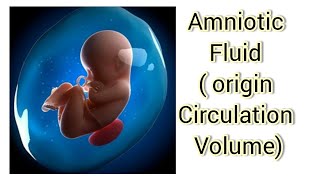 Amniotic fluid - origin,  circulation and volume in hindi / liquor amnii