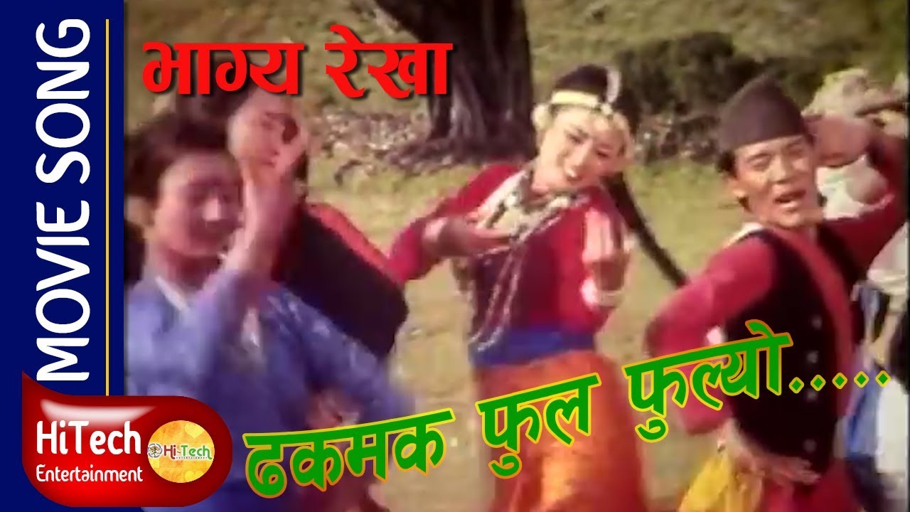 Dhakmak Phool Phoolyo  Movie Song  Bhagya Rekha  Maushami Malla