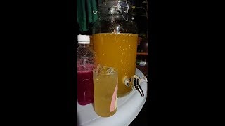シークヮーサー酵素の作り方　奇跡のハーブ、沖縄の薬草　マンジェリコン　シークヮーサーの精油