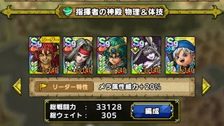 DQT 指揮者の神殿 バギ 物理・体技 レベル9 ソロ入り ゲルダなし 解放80