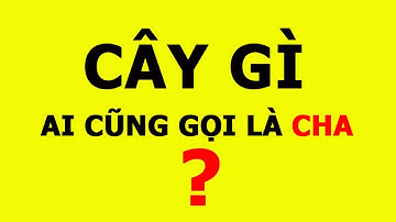 Những câu đố mẹo ngắn chỉ có những người hâm hâm mới giải được - Phần 1