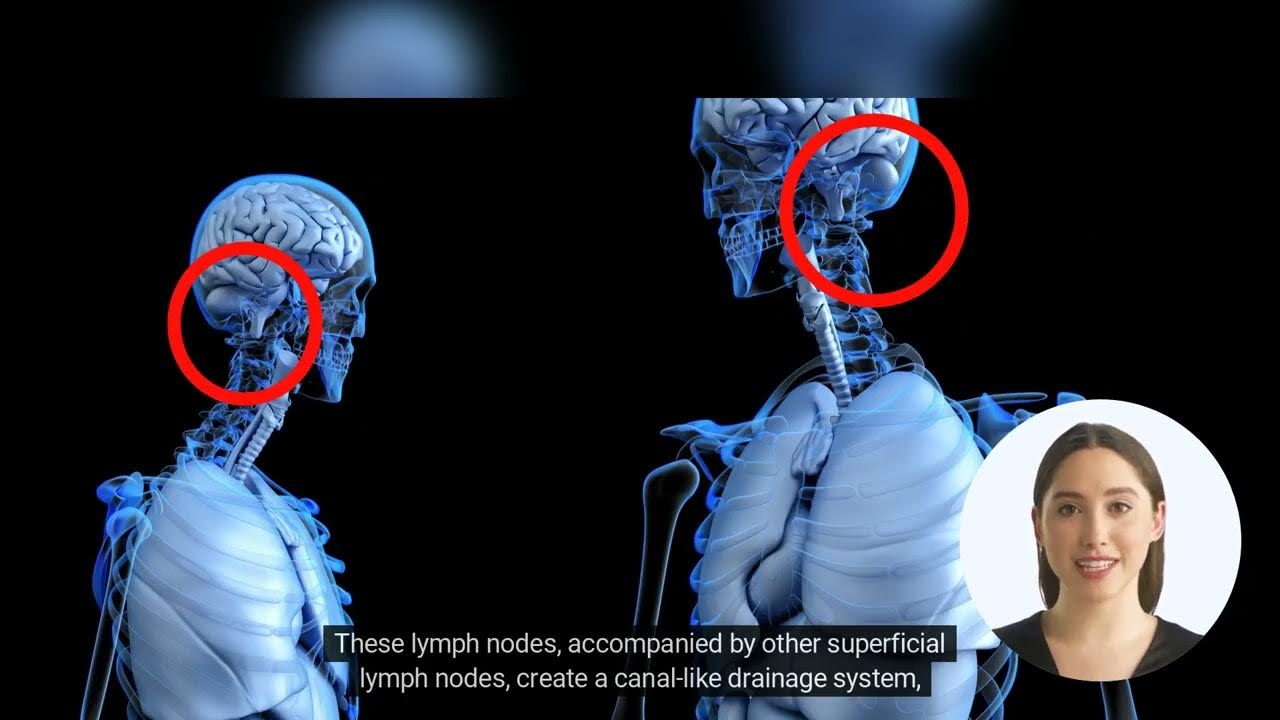 occipital-lymph-nodes-youtube