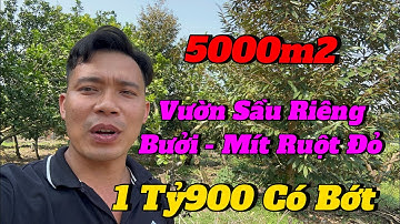 (Đã Bán ) đất vườn Trái Cây Gần Quốc Lộ 20 Giá Rẻ Về Cái Có Thu Hoạch Liền - kinh Tế ổn Định luôn
