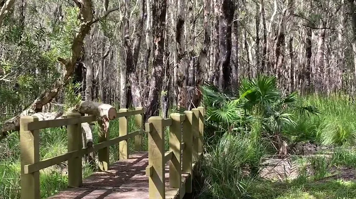 So Many Bridges In My Mind (video)