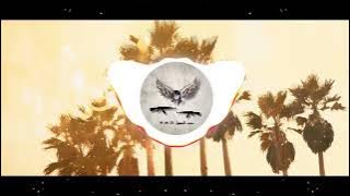 Lady XO - Run It Up