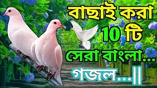 বাছাইকরা ১০ টি সেরা বাংলা গজল || ইসলামিক গজল|| শান্তির বাণী|| @Earning_Wallah   #gojol