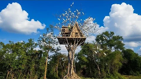 Servival girl amazing living alone 100days on treehouse real life in jungle