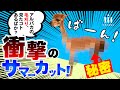 【もふもふMAX→衝撃のサマーカット】ある日のあるぱか ～アルパカの毛刈り編～