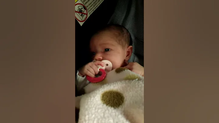Sommer 2wks1day old