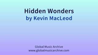 Hidden Wonders by Kevin MacLeod 1 HOUR