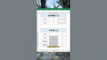 表格内打勾打叉的两个方法#每天学习一点点 #职场 #文员 #办公技巧 #EXCEL