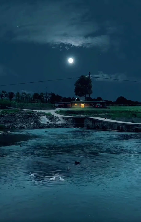 suasana malam hari di kampung terdengar suara jangkrik sangat tenang