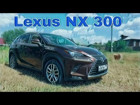 Обзор Lexus NX 300 или же роскошь для крестьянина | Обзор, тест-драйв | Lexus NX 300 2.0L 4WD (238)