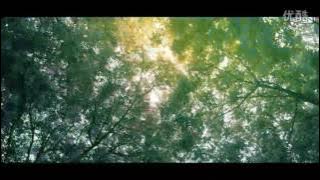 Faye Wong 王菲《Fleet of Time 匆匆那年》