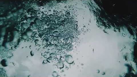 تلاوة عطرة للشيخ مشاري راشد العفاسي لسورة القيامة