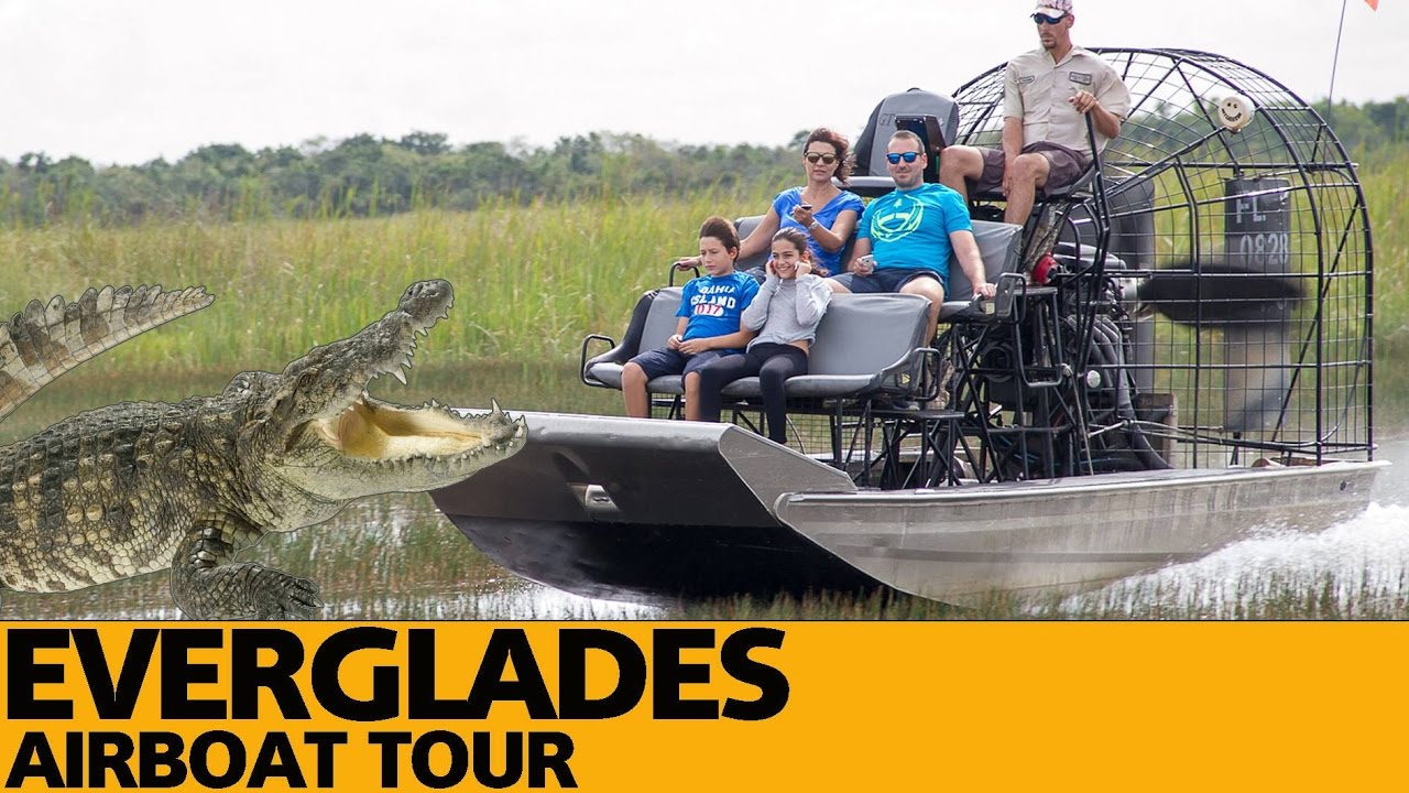 everglades airboat tours gator park