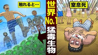 【実在】世界NO.1の猛毒生物「ポイズン・イソギンチャク」。触れただけで…窒息死。