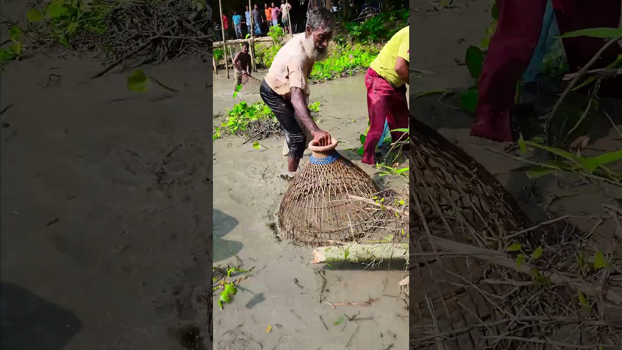 Asian Country Fishing 