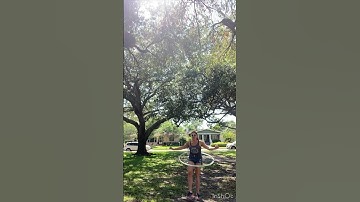 Beginner Hula Hoop Combo