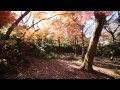 源氏山公園の紅葉