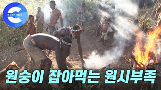 원숭이 사냥에 성공한 아프리카 원시부족 '가구루족'