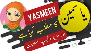 Yasmeen name meaning in urdu and lucky number | Islamic Boy Girl Name | Ali Bhai