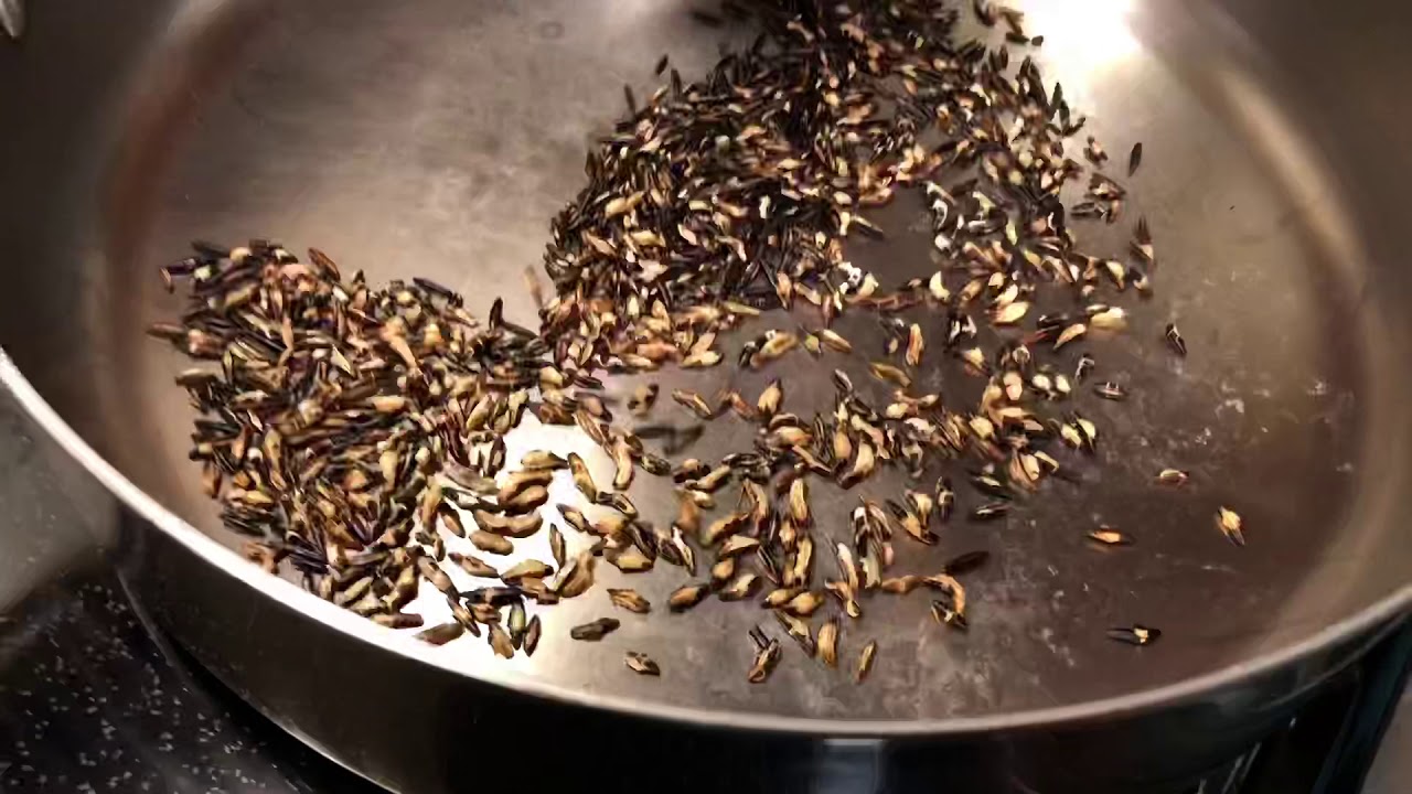 Making popped wild rice YouTube