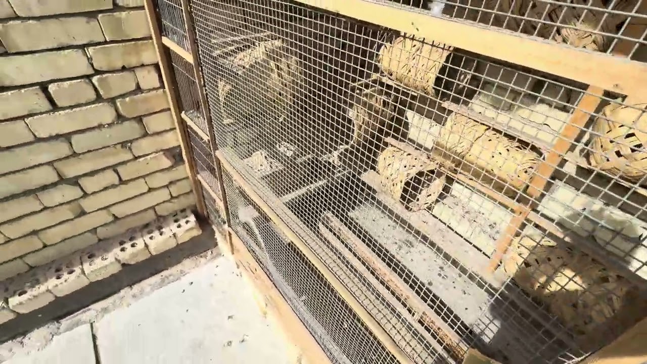 31 كانون الثاني، 2026