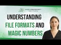 Understanding file formats and magic numbers