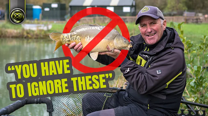 WHY YOU SHOULD IGNORE CARP - Mark Pollard's match ...
