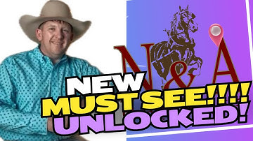 Unboxing the New Horse & Mule Harness from N&A Harness : What