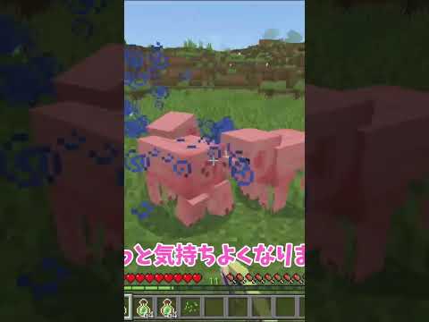 マイクラエンチャント瓶あるある #マイクラ #minecraft
