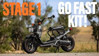 Honda Ruckus Go Fast Kit! | Stage 1... screenshot 4