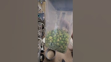 ssbrewtech SVBS demo brew