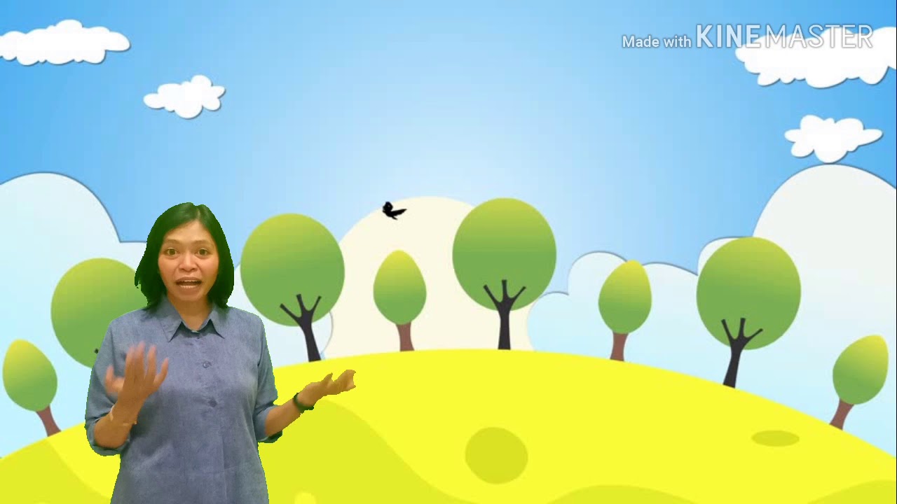 Green Screen Metamorphosis Kupu kupu  YouTube Green Screen Metamorphosis Kupu kupu  YouTube