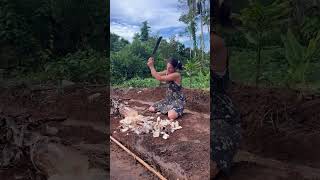 Preparing the garden beds