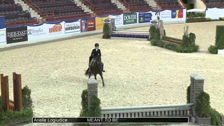78 MEANT TO BE Arielle Logiudice, Class 26 Large C...