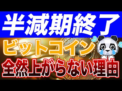 【半減期終了】ビットコイン半減期終わったのに全然上がってないじゃん！理由は〇〇です！【仮想通貨】