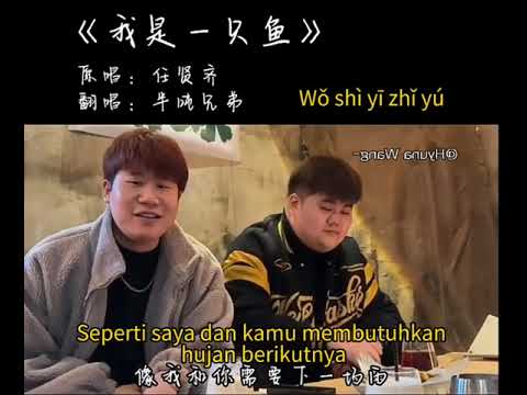 wo shi yi zhi yu(aku adalah seekor ikan)