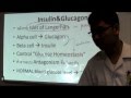 BioMastery หมอเน Insulin&Glucogon