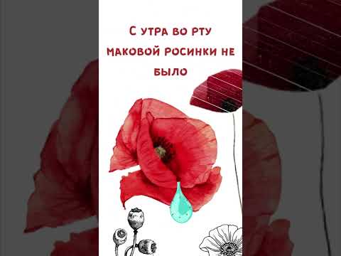 Маковой росинки во рту не было...