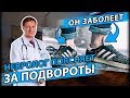 ЧЕМ ГРОЗЯТ ПОДВОРОТЫ ЗИМОЙ | Советы доктора Титарчука