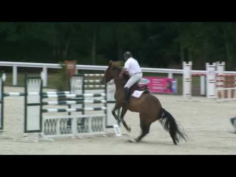 Planete Dampierre- jumping horse by Kannan