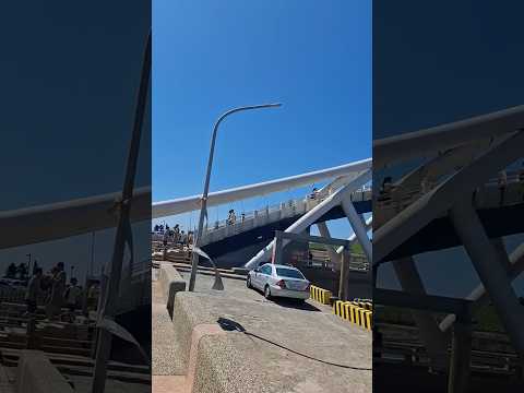 桃園永安漁港 永安觀海橋 #travel