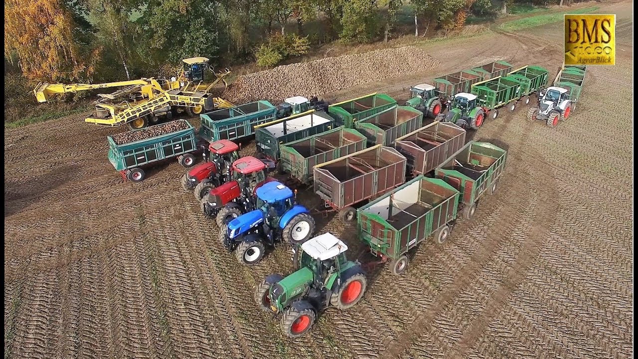 Rübenernte 2022 Vollernter GRIMME REXOR, JD Traktor Zuckerrüben roden Lohnunternehmer Landwirtschaft