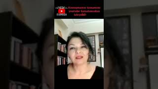 Edebiyat Ve Eleştiri Jale Özata Dirlikyapan