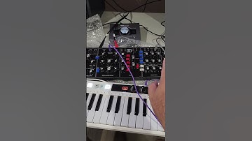 Behringer Model D heeft KALIBRATIE nodig – Ja, echt!