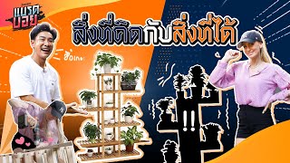 ยอมเหนื่อยเพื่อเมีย เมื่ออแมนด้าอยากดีไอวายชั้นวางดอกไม้ | Bradboy