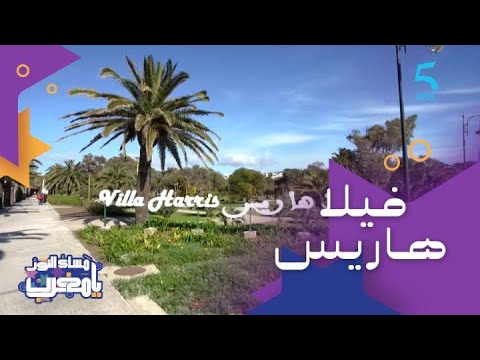 فيديو: تحولت جنوب ملبورن قاعة في البيت الحديث